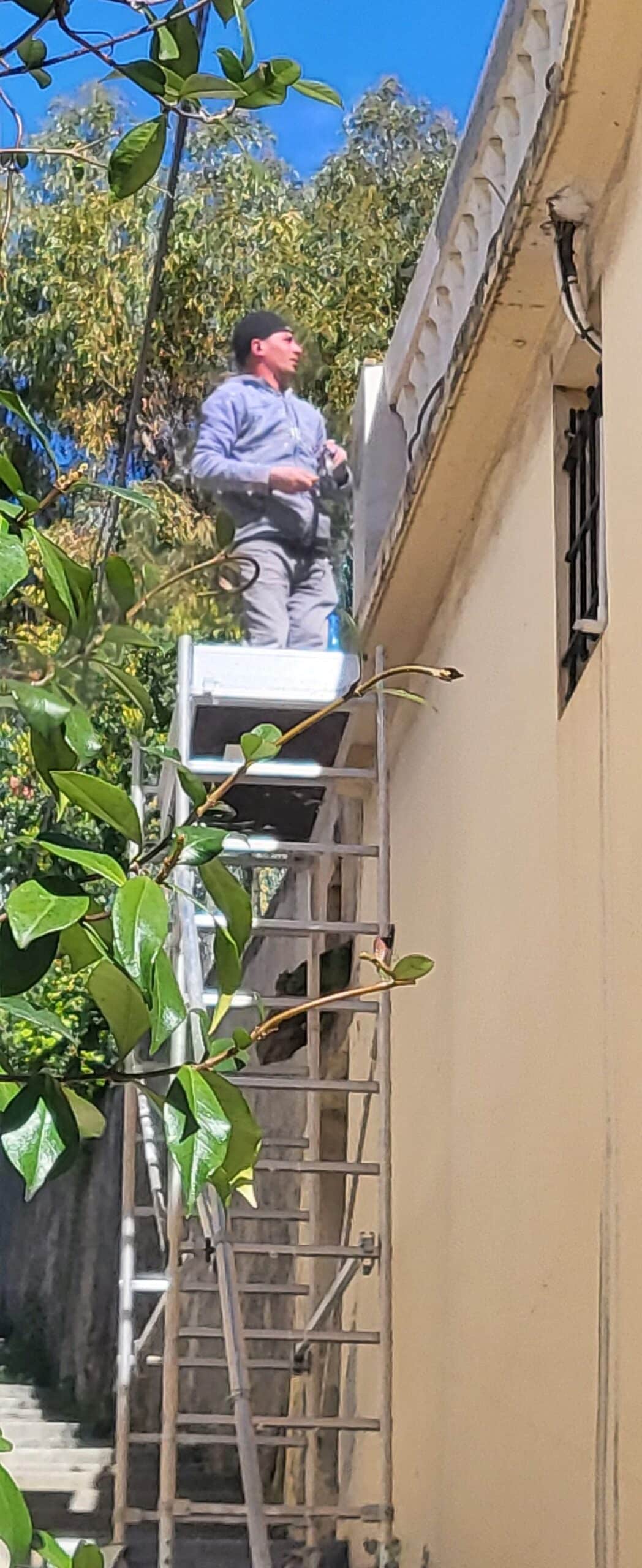 Homme travaillant sur un échafaudage contre la façade d'un bâtiment dans un jardin verdoyant.